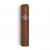 Montecristo Petit Edmundo Cigar - 1 Single